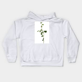 Ivy branch isolated on a white background Kids Hoodie